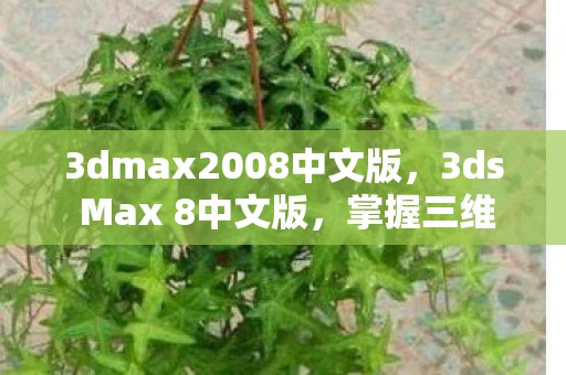 3dmax2008中文版，3ds Max 8中文版，掌握三维设计的强大工具