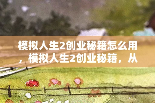 模拟人生2创业秘籍怎么用，模拟人生2创业秘籍，从零到一的创业之路