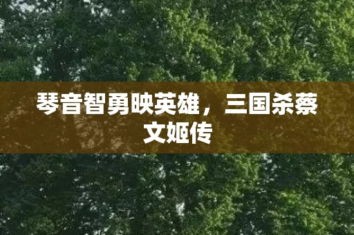 琴音智勇映英雄图片
