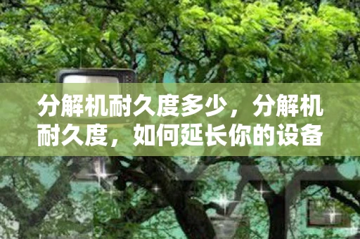 分解机耐久度多少，分解机耐久度，如何延长你的设备寿命