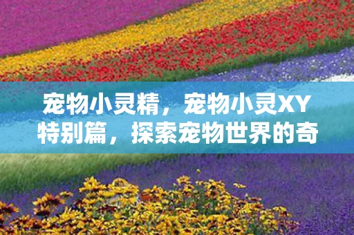 宠物小灵精，宠物小灵XY特别篇，探索宠物世界的奇妙之旅