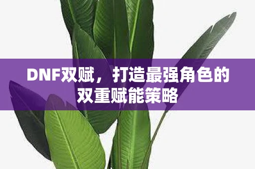 DNF双赋,打造最强角色的双重赋能策略 DNF双赋,打造最强角色的双重赋能策略