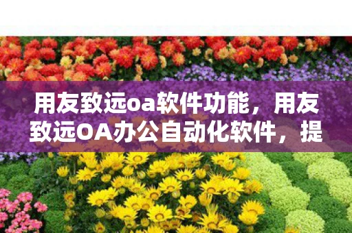 用友致远oa软件功能，用友致远OA办公自动化软件，提升企业管理效率的利器