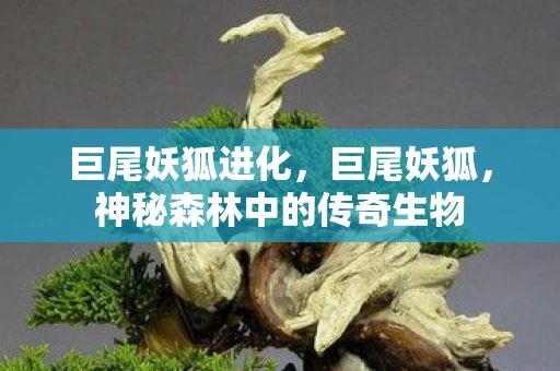 巨尾妖狐进化，巨尾妖狐，神秘森林中的传奇生物