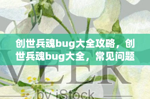 创世兵魂bug大全攻略，创世兵魂bug大全，常见问题与解决方案