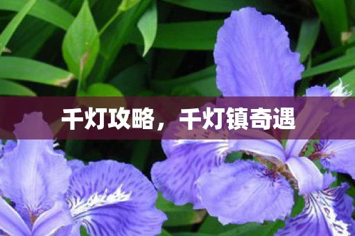 千灯攻略，千灯镇奇遇