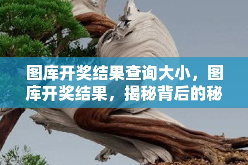 图库开奖结果查询大小，图库开奖结果，揭秘背后的秘密与影响