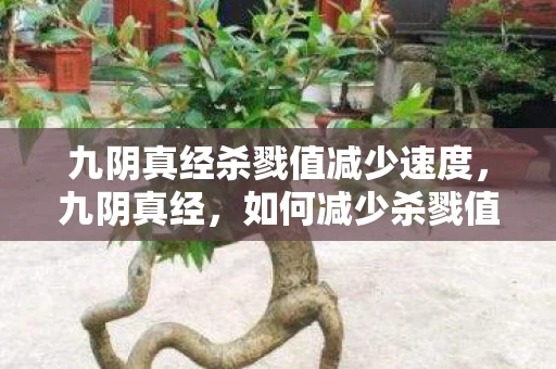 九阴真经杀戮值减少速度，九阴真经，如何减少杀戮值