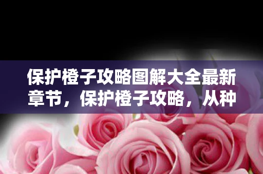 保护橙子攻略图解大全最新章节，保护橙子攻略，从种植到收获的全面防护