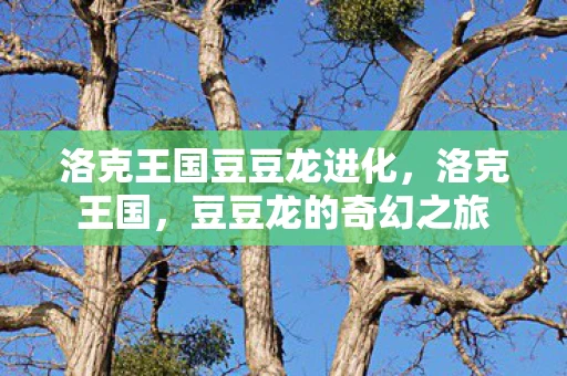 洛克王国豆豆龙进化，洛克王国，豆豆龙的奇幻之旅