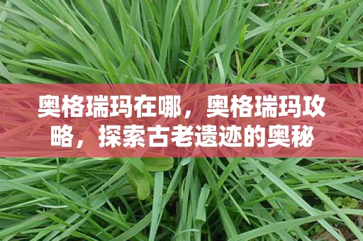 奥格瑞玛在哪，奥格瑞玛攻略，探索古老遗迹的奥秘