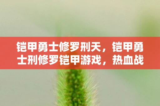 铠甲勇士修罗刑天，铠甲勇士刑修罗铠甲游戏，热血战斗与英雄成长