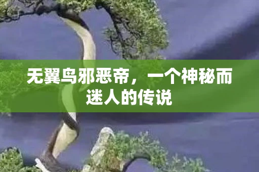 无翼鸟邪恶帝，一个神秘而迷人的传说