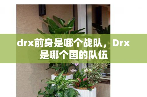 drx前身是哪个战队,Drx是哪个国的队伍 drx前身是哪个战队,Drx是哪个国的队伍