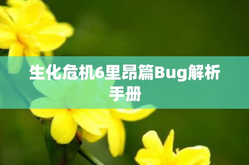 生化危机6里昂篇Bug解析手册图片