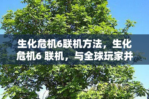 生化危机6联机方法，生化危机6 联机，与全球玩家并肩作战的恐怖冒险
