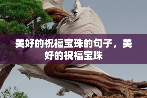 美好的祝福宝珠的句子，美好的祝福宝珠