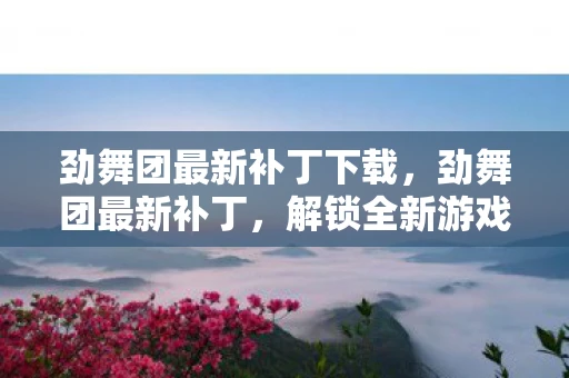劲舞团最新补丁下载，劲舞团最新补丁，解锁全新游戏体验