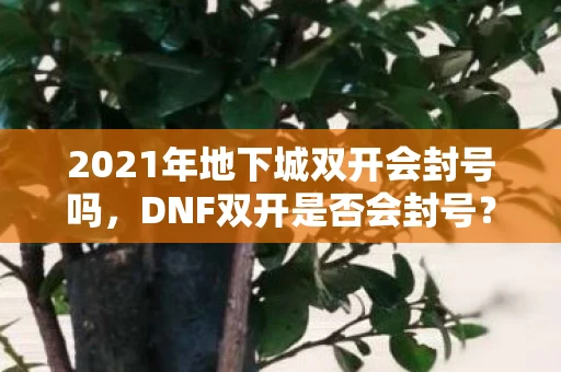 2021年地下城双开会封号吗，DNF双开是否会封号？详解双开风险与注意事项