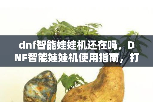 dnf智能娃娃机还在吗，DNF智能娃娃机使用指南，打造高效、便捷的娃娃机体验