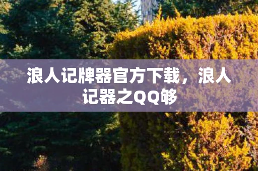 浪人记牌器官方下载，浪人记器之QQ够