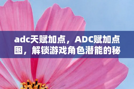 adc天赋加点，ADC赋加点图，解锁游戏角色潜能的秘籍