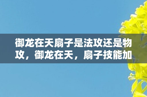 御龙在天扇子是法攻还是物攻，御龙在天，扇子技能加点攻略