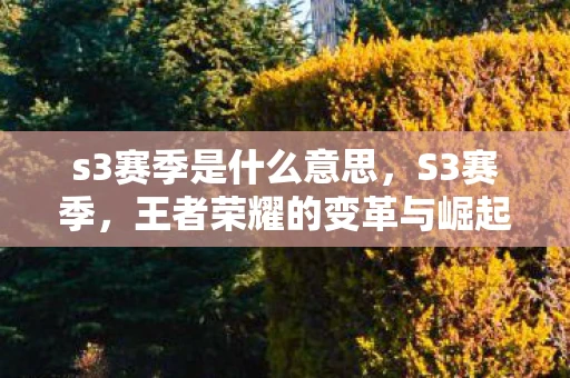 s3赛季是什么意思，S3赛季，王者荣耀的变革与崛起