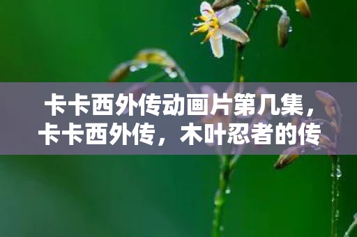 卡卡西外传动画片第几集，卡卡西外传，木叶忍者的传奇之路