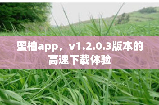 3版本的高速下载体验图片