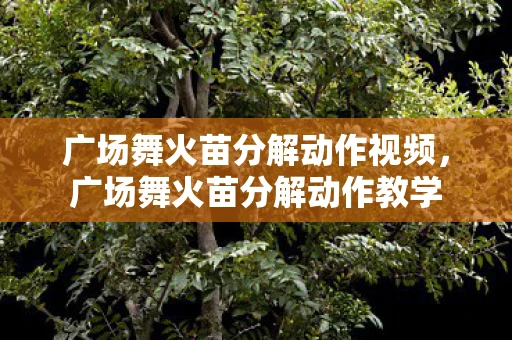 广场舞火苗分解动作视频，广场舞火苗分解动作教学