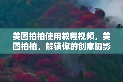 美图拍拍使用教程视频，美图拍拍，解锁你的创意摄影之旅