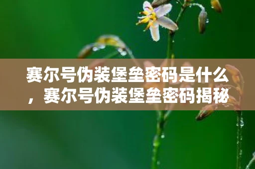赛尔号伪装堡垒密码是什么，赛尔号伪装堡垒密码揭秘，解锁神秘世界的钥匙