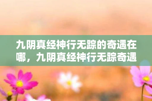 九阴真经神行无踪的奇遇在哪，九阴真经神行无踪奇遇