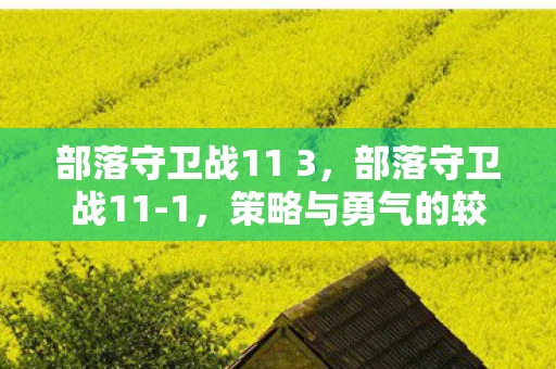 部落守卫战11 3,部落守卫战11-1,策略与勇气的较量 部落守卫战11 3,部落守卫战11-1,策略与勇气的较量