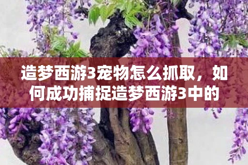 造梦西游3宠物怎么抓取，如何成功捕捉造梦西游3中的宠物？
