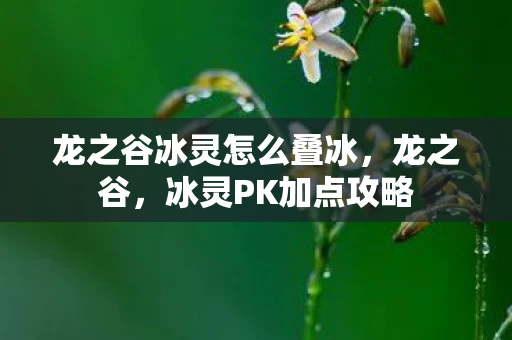 龙之谷冰灵怎么叠冰，龙之谷，冰灵PK加点攻略