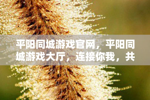 平阳同城游戏官网，平阳同城游戏大厅，连接你我，共享欢乐