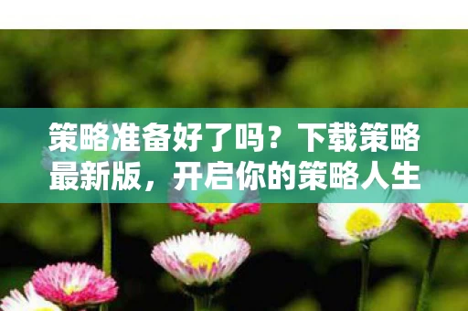 开启你的策略人生图片