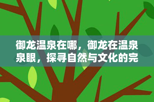 御龙温泉在哪,御龙在温泉泉眼,探寻自然与文化的完美融合 御龙温泉在哪,御龙在温泉泉眼,探寻自然与文化的完美融合