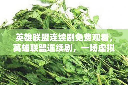 英雄联盟连续剧免费观看，英雄联盟连续剧，一场虚拟世界的冒险之旅