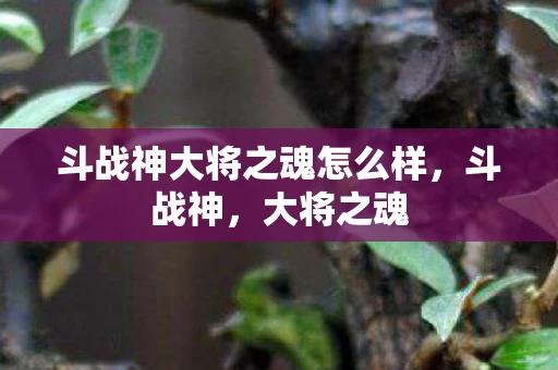 斗战神大将之魂怎么样，斗战神，大将之魂