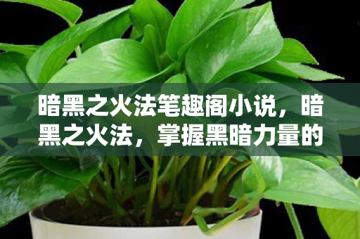 暗黑之火法笔趣阁小说，暗黑之火法，掌握黑暗力量的神秘法师