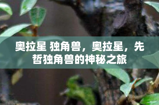 奥拉星 独角兽，奥拉星，先哲独角兽的神秘之旅