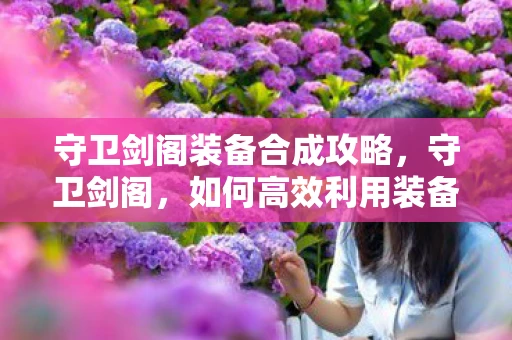 守卫剑阁装备合成攻略，守卫剑阁，如何高效利用装备提升战斗力