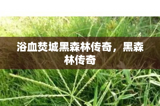 浴血焚城黑森林传奇,黑森林传奇 浴血焚城黑森林传奇,黑森林传奇