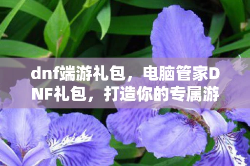 dnf端游礼包，电脑管家DNF礼包，打造你的专属游戏王国
