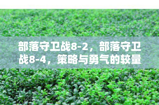 部落守卫战8-2,部落守卫战8-4,策略与勇气的较量 部落守卫战8-2,部落守卫战8-4,策略与勇气的较量