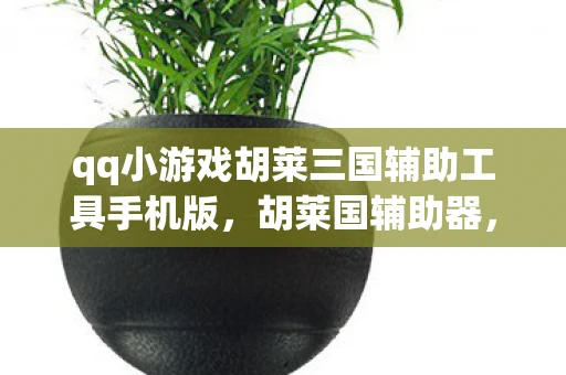 qq小游戏胡莱三国辅助工具手机版，胡莱国辅助器，游戏辅助工具背后的真相与风险