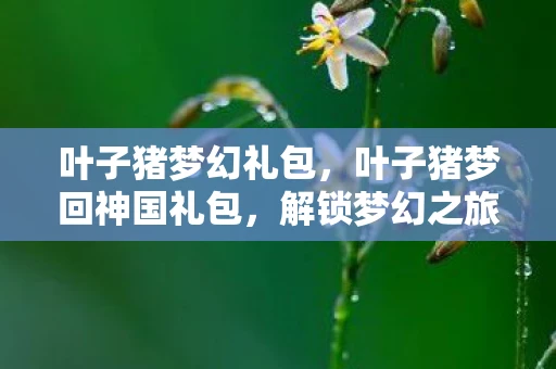 叶子猪梦幻礼包,叶子猪梦回神国礼包,解锁梦幻之旅的钥匙 叶子猪梦幻礼包,叶子猪梦回神国礼包,解锁梦幻之旅的钥匙